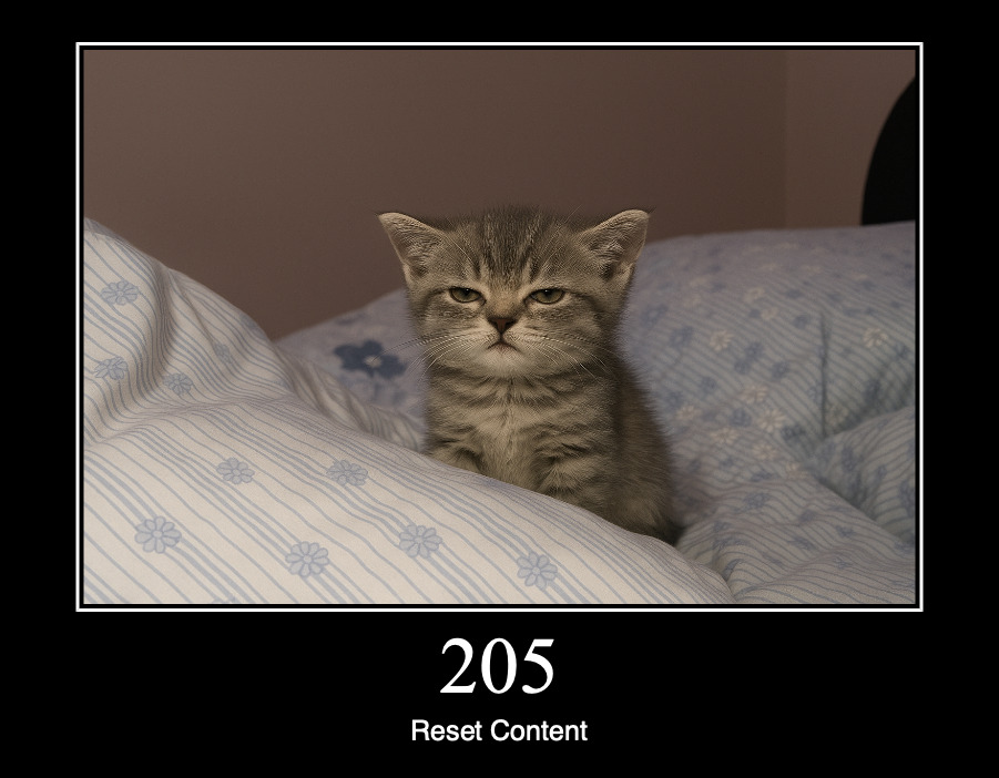 HTTP статус 205 — сбросить содержимое