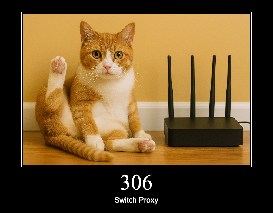 HTTP статус 306 — переключить прокси-сервер