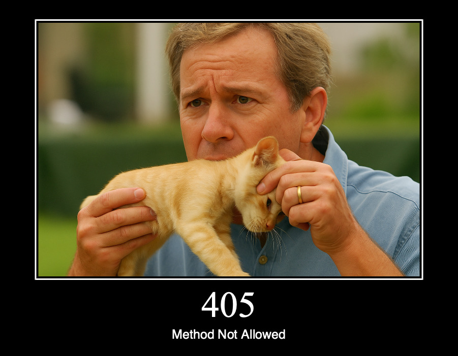 HTTP статус 405 — метод не поддерживается
