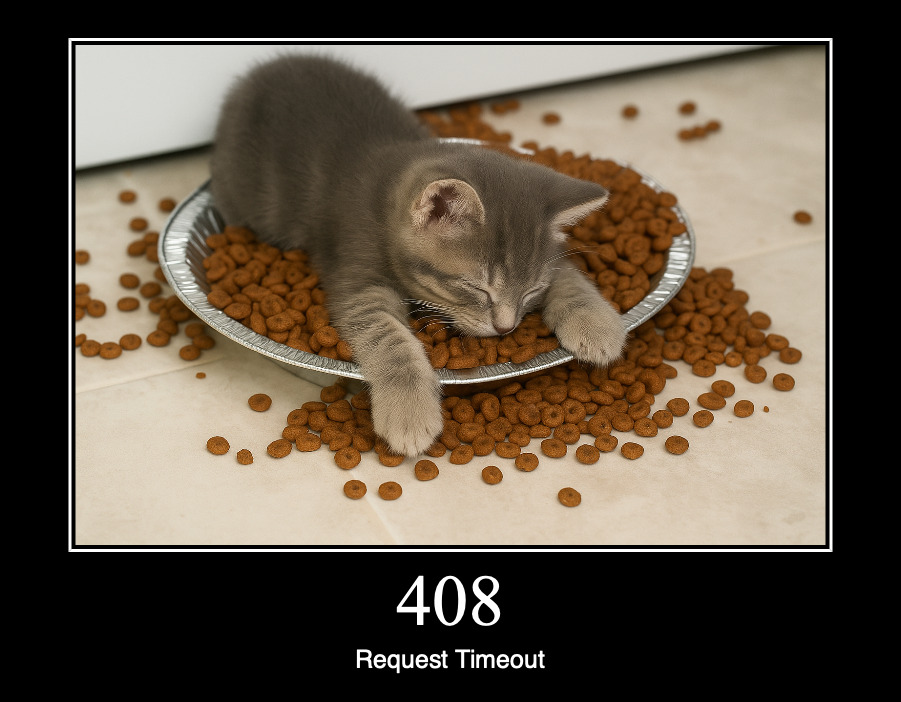 HTTP статус 408 — истекло время ожидания