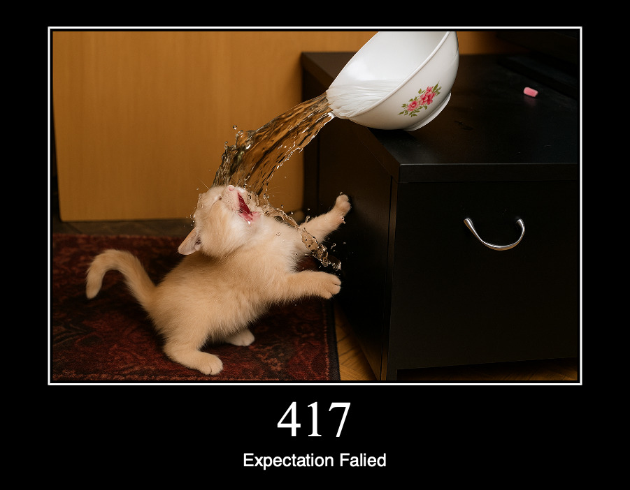HTTP статус 417 — ожидание не оправдалось
