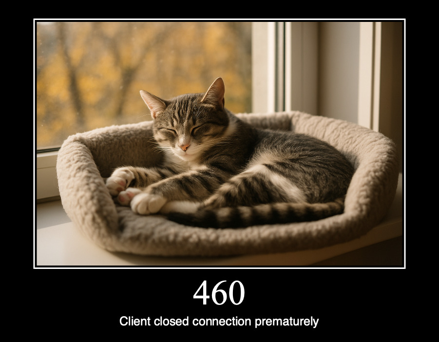 HTTP статус 460 — клиент преждевременно закрыл соединение