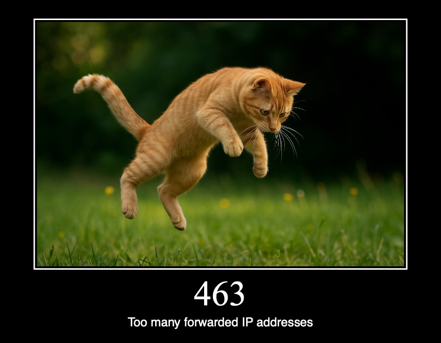 HTTP статус 463 — cлишком много переадресованных ip-адресов