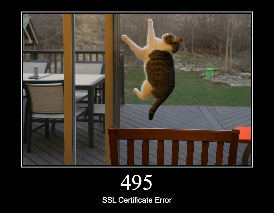 HTTP статус 495 — ошибка ssl-сертификата