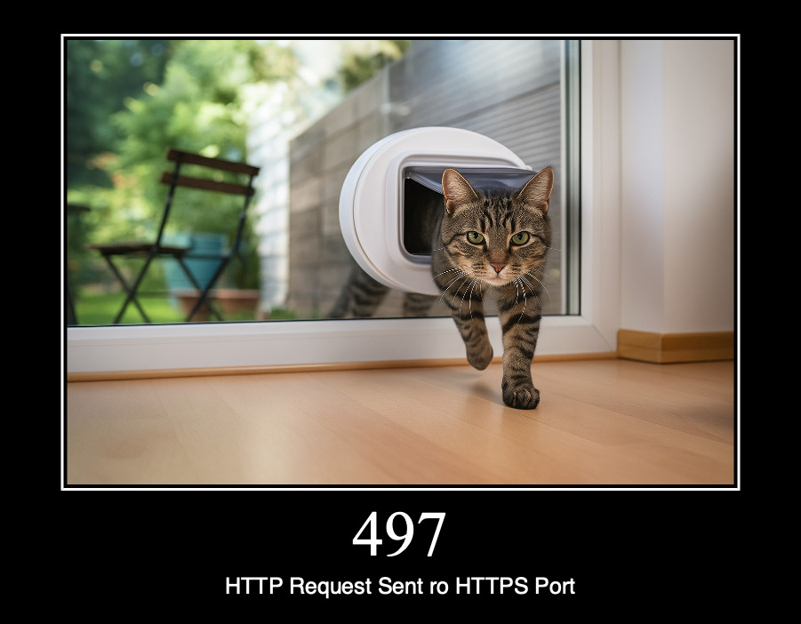 HTTP статус 497 — http-запрос, отправленный на https-порт