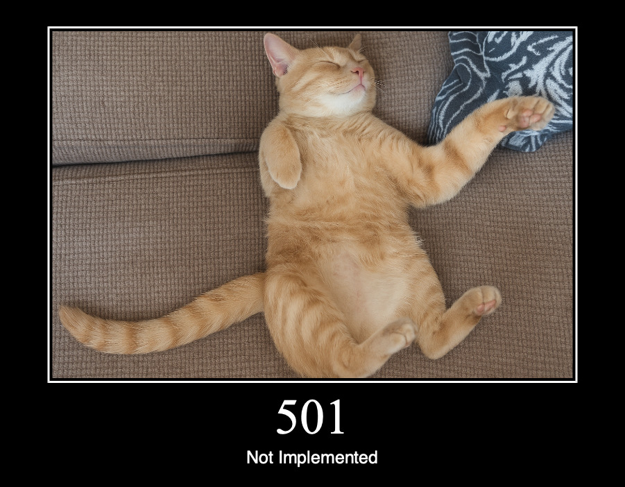 HTTP статус 501 — не реализовано