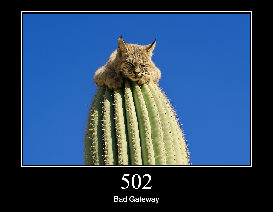 HTTP статус 502 — плохой, ошибочный шлюз