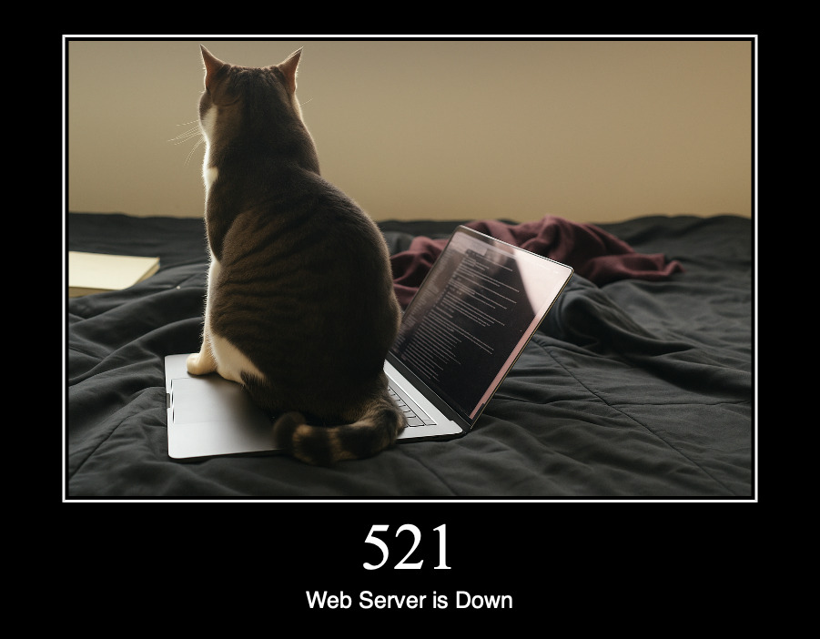 HTTP статус 521 — веб-сервер не работает